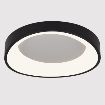 Потолочный светодиодный светильник Arte Lamp Sualocin A2698PL-48BK